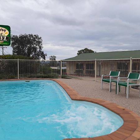 Country Rose Motel Уорик Экстерьер фото
