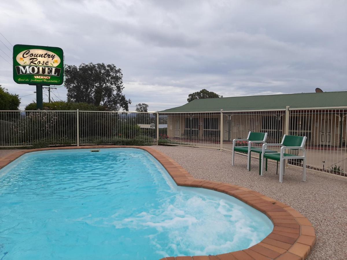 Country Rose Motel Уорик Экстерьер фото